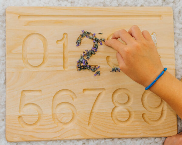 Tavola prescrittura numeri 0/9 e quantità - immagine 5